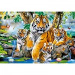 Puzzle  Castorland-104413 Tigers by the Stream