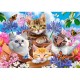 Kittens with Flowers
