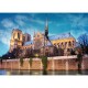 France - Paris : Cathédrale Notre-Dame de Paris