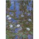 Monet Claude - Nymphéas