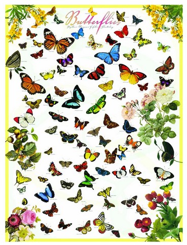 Puzzle Eurographics-6000-0077 Papillons