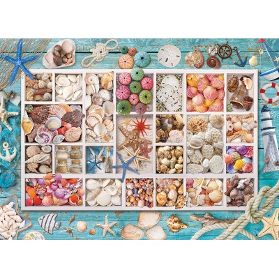 Puzzle Eurographics-6000-5529 Collection de Coquillages