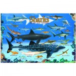 Puzzle  Eurographics-6100-0079 Requins