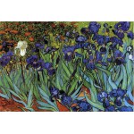 Puzzle  Grafika-F-31597 Van Gogh Vincent : Les Iris, 1889