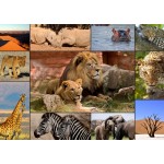 Puzzle  Grafika-F-30026 Collage - Wildlife