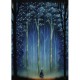 Andy Kehoe - Forest Cathedral