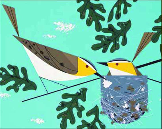 Puzzle Charley Harper : Viréos aux yeux rouges Pomegranate