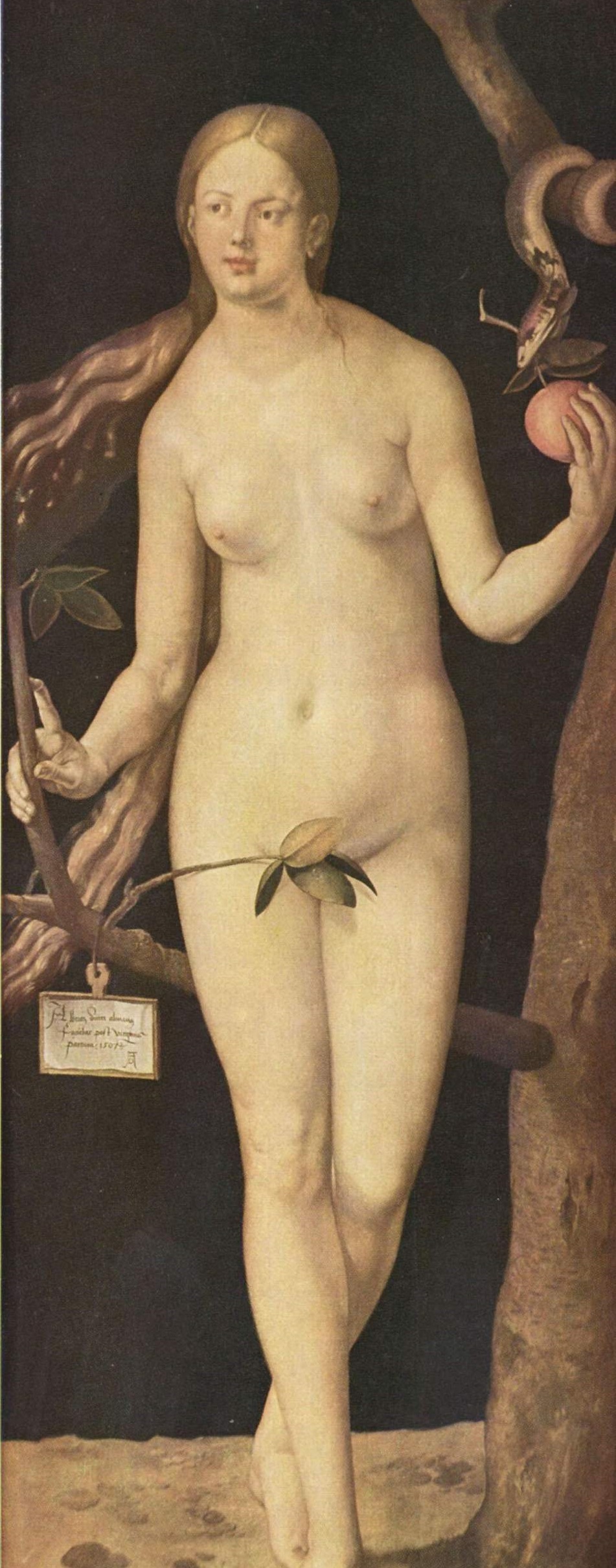 Puzzle Albrecht Dürer - Eve Impronte Edizioni