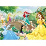 Puzzle  Nathan-86567 Disney Princesses