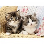 Puzzle  Nathan-86766 Chatons