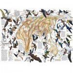 Puzzle  New-York-Puzzle-NG1830 Eastern Bird Migration