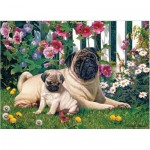Puzzle   Pug Family