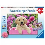  Ravensburger-05029 2 Puzzles - Amis tout doux