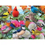 Puzzle  Ravensburger-14223 Garden Birds