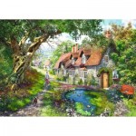 Puzzle  Ravensburger-16777 Flower Hill Lane