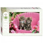Puzzle  Step-Puzzle-84044 Chatons Mignons