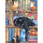 Puzzle  Sunsout-CL59367 Chrissy Snelling - On the Shelf