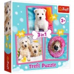  Trefl-34845 3 Puzzles - Chiens